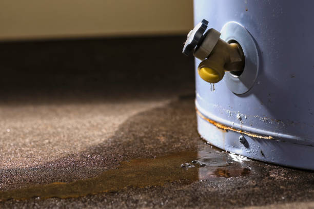 Best Fire Damage Restoration  in Windsor, IL