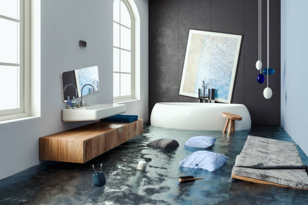 Best Water damage contractors near me  in Windsor, IL
