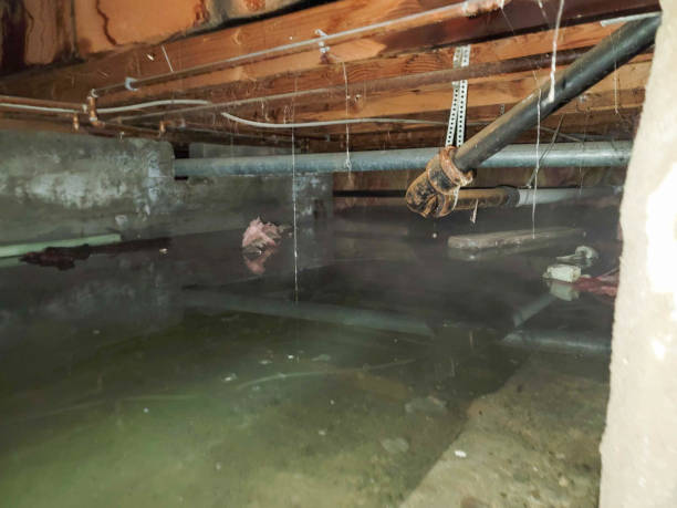 Carpet water damage restoration in Windsor, IL