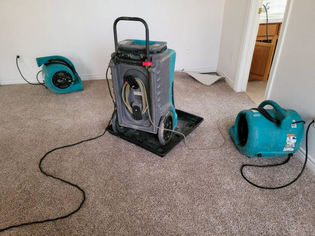 Water damage restoration mold remediation in Windsor, IL