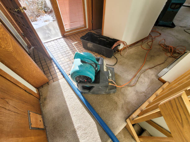 Best Water damage restoration cost  in Windsor, IL