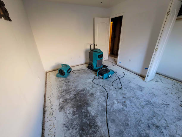 Best Residential water damage restoration  in Windsor, IL