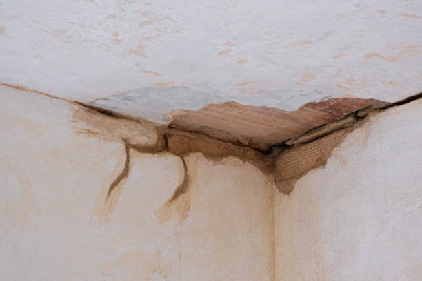 Best Residential water damage restoration  in Windsor, IL