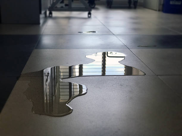 Reliable Windsor, IL Water damage restoration Solutions
