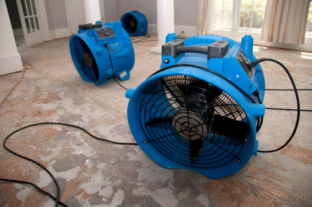 Best Sewage cleanup and water damage restoration  in Windsor, IL