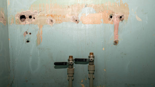 Best Carpet water damage restoration  in Windsor, IL