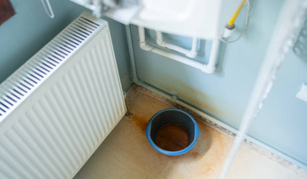 Best Water damage restoration near me  in Windsor, IL
