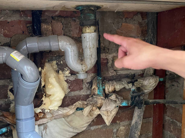 Best Flooded house restoration  in Windsor, IL