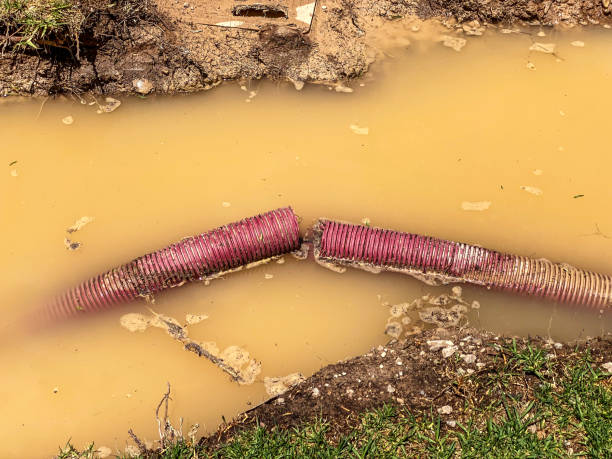 Best Water damage restoration insurance claims  in Windsor, IL