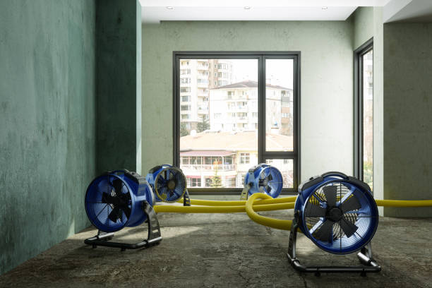 Best Flood damage cleanup  in Windsor, IL