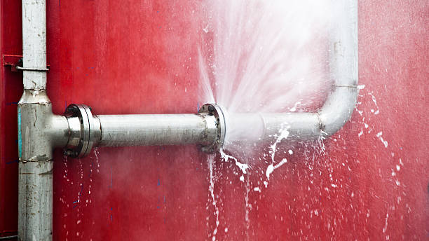 Best Commercial water damage restoration  in Windsor, IL