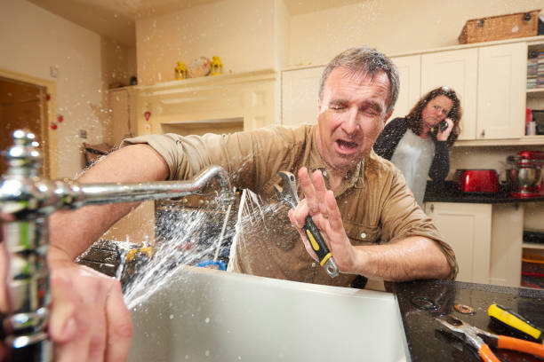 Best Water damage restoration near me  in Windsor, IL